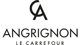 Logo Carrefour Angrignon